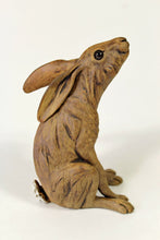 Load image into Gallery viewer, Moongazing Hare