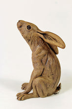 Load image into Gallery viewer, Moongazing Hare