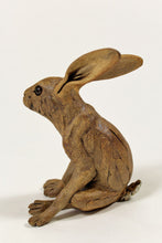 Load image into Gallery viewer, Startled Hare
