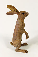 Load image into Gallery viewer, An Inquisitive Hare