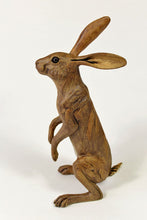 Load image into Gallery viewer, An Inquisitive Hare