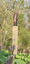 Load image into Gallery viewer, Kestrel in cold cast bronze by Paul Harvey