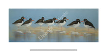 Load image into Gallery viewer, Oystercatchers signed print