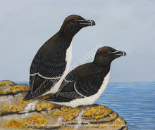 Load image into Gallery viewer, Razorbills Framed Print