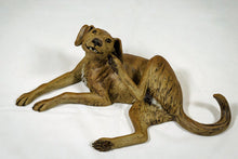 Load image into Gallery viewer, Lying Dog scratching