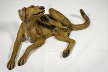 Load image into Gallery viewer, Lying Dog scratching