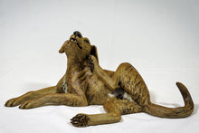 Load image into Gallery viewer, Lying Dog scratching