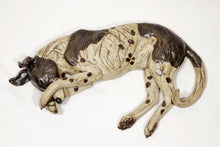 Load image into Gallery viewer, Sleeping Dog