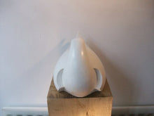 Load image into Gallery viewer, Sleeping Tern by Paul Harvey