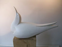 Load image into Gallery viewer, Tern by Paul Harvey