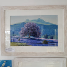 Load image into Gallery viewer, Bluebells and blossom Limited framed print
