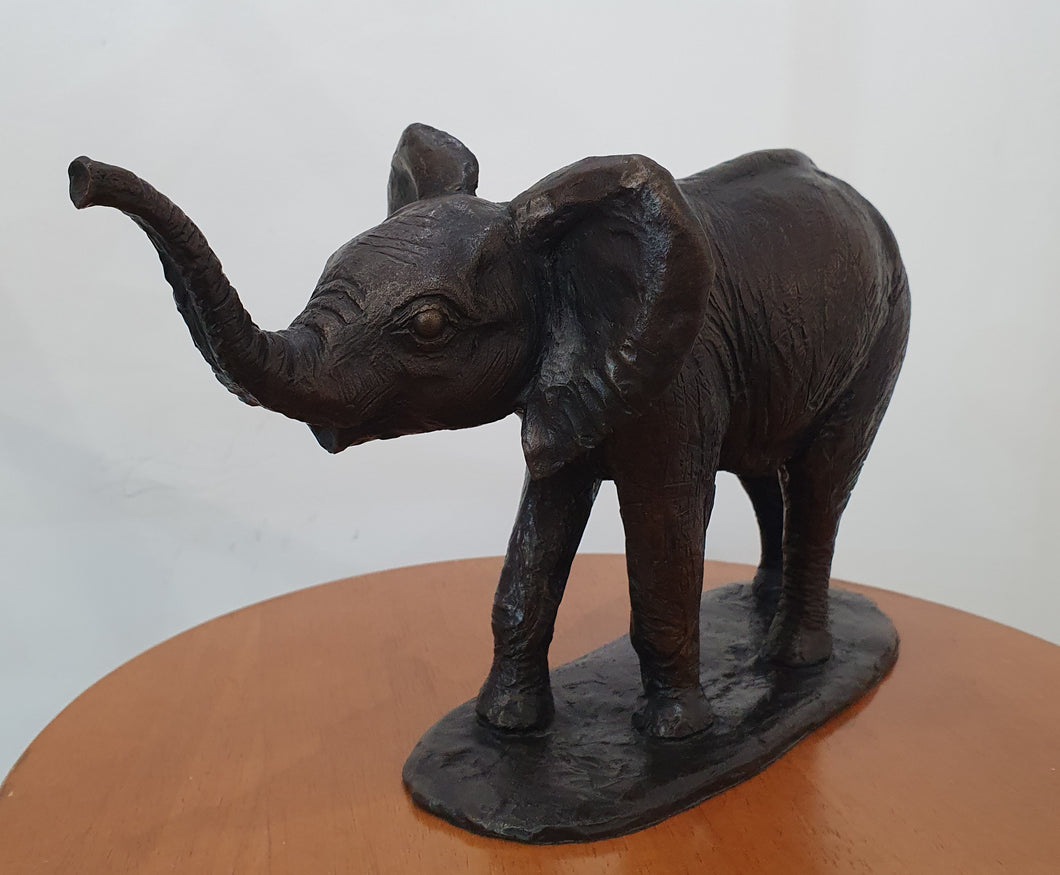 Pure Bronze Elephant Limited 1/10
