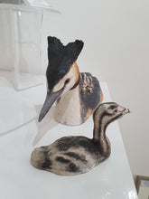 Load image into Gallery viewer, Grebes carrying chick and with chick
