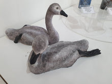 Load image into Gallery viewer, Pair of Cygnets by Michelle Hall.
