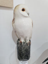 Load image into Gallery viewer, Barn owl by Michelle Hall

