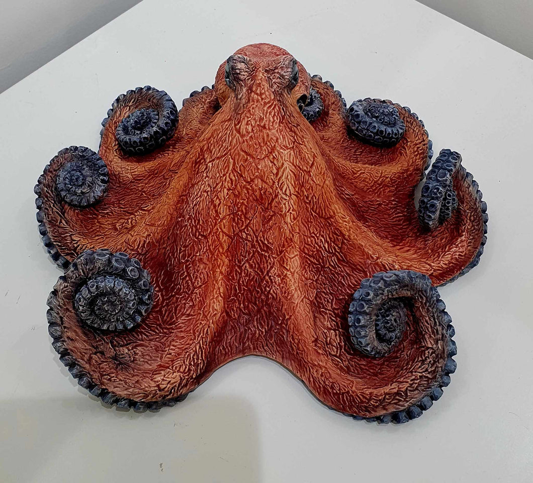 Octopus by Michelle Hall