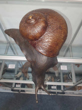Load image into Gallery viewer, Big Cyril the Snail
