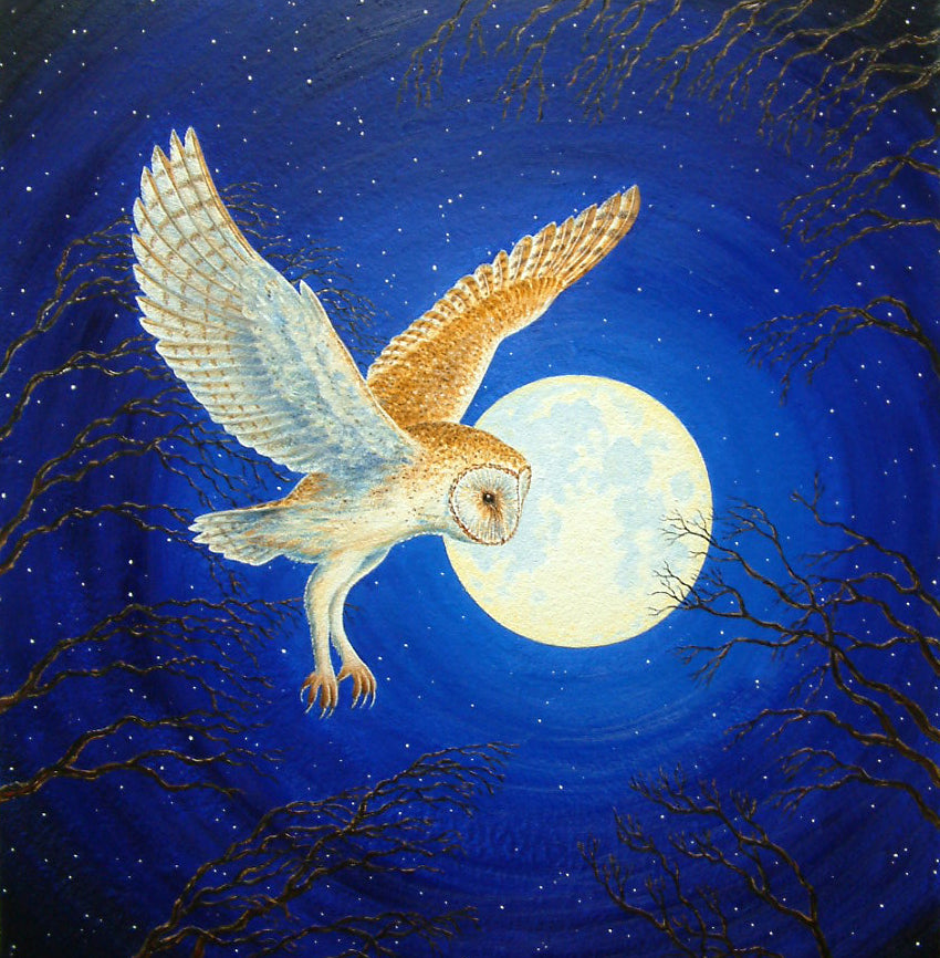 Moon Owl limited framed print