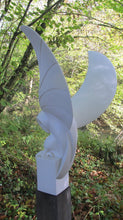 Load image into Gallery viewer, Barn Owl by Paul Harvey
