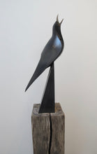 Load image into Gallery viewer, Black Bird Singing by Paul Harvey
