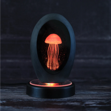 Load image into Gallery viewer, Colour Changing Jellyfish with LED/USB Base
