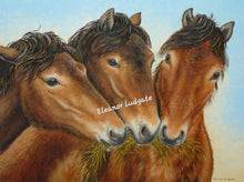 Load image into Gallery viewer, Exmoor Girls limited framed Print By Eleanor Ludgate
