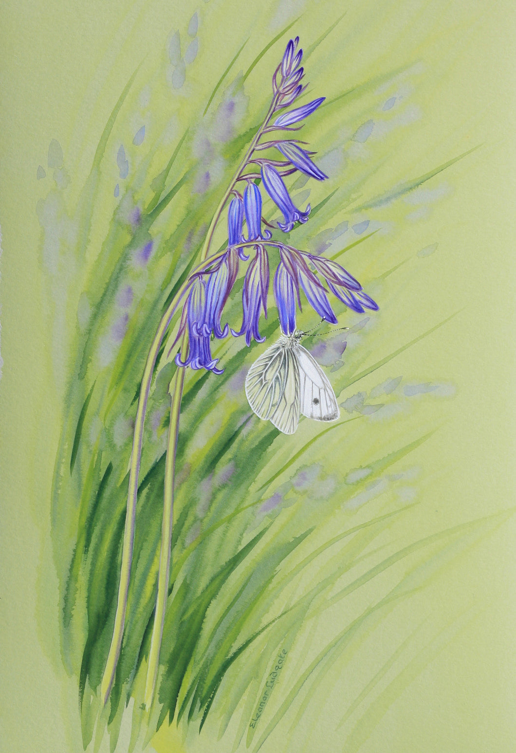 Green-Veined White butterfly print