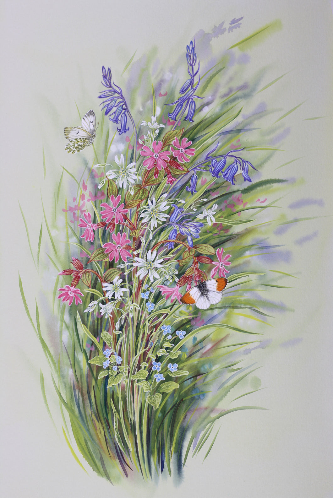 Orange Tips with Spring Flowers print