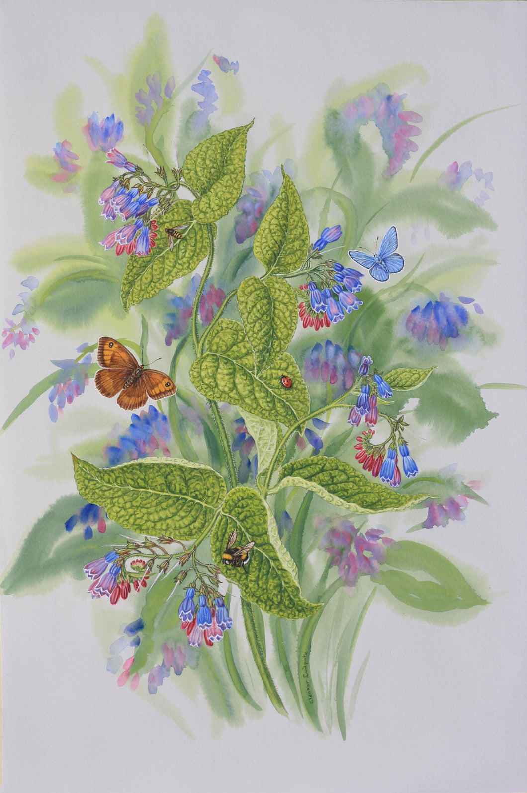 Meadow Brown and common blue butterfly print
