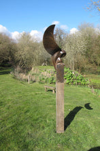 Load image into Gallery viewer, Barn Owl by Paul Harvey
