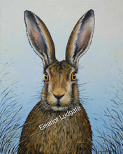 Load image into Gallery viewer, Aware Hare original oil painting

