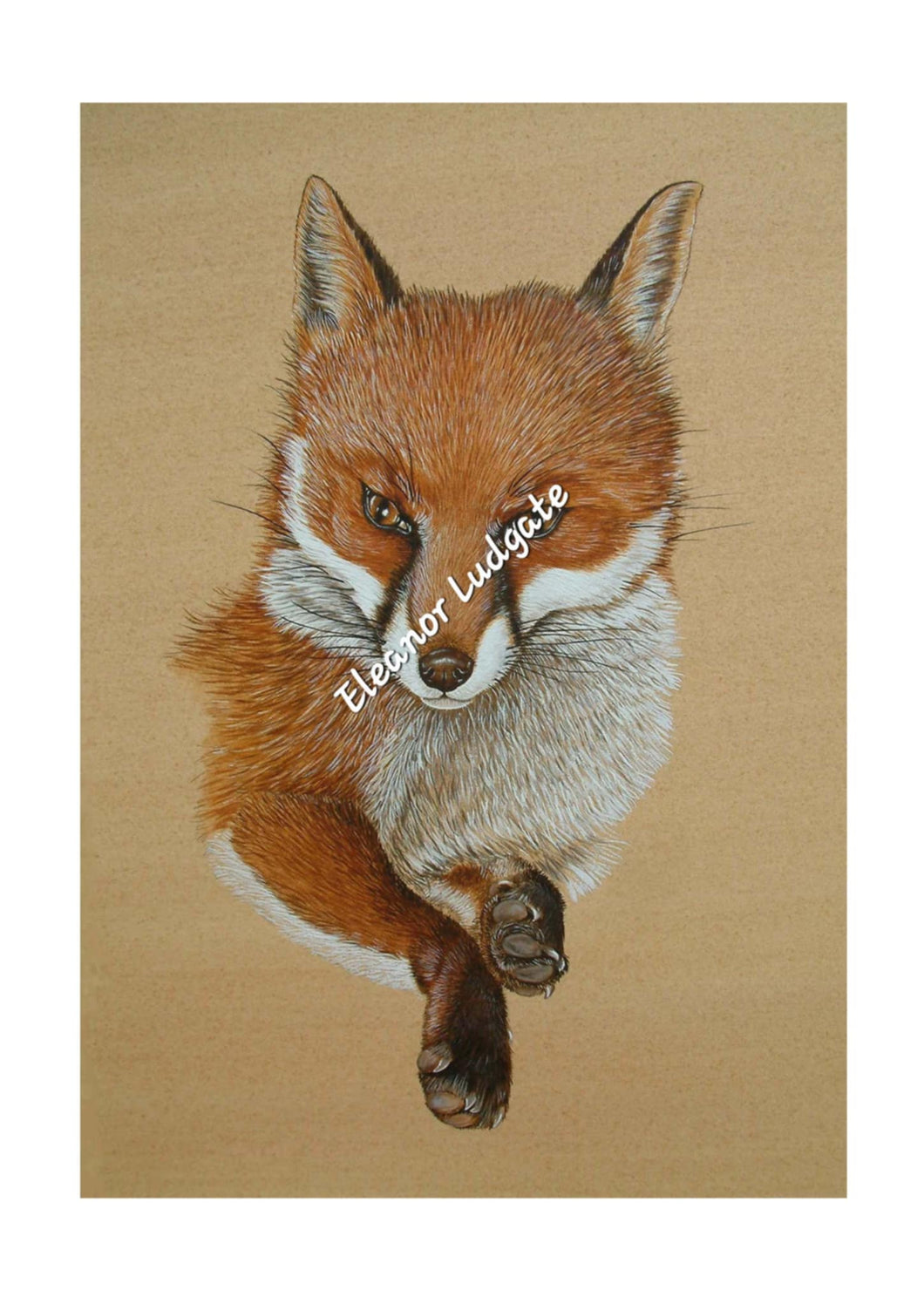 Fox signed print