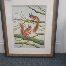 Load image into Gallery viewer, Red Squirrels signed limited framed print

