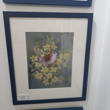 Load image into Gallery viewer, Wren on winter Jasmine framed print
