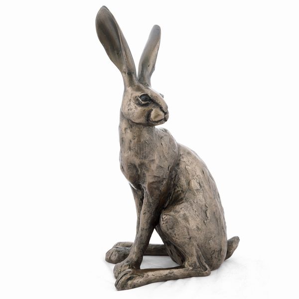 Howard the Hare by Paul Jenkins
