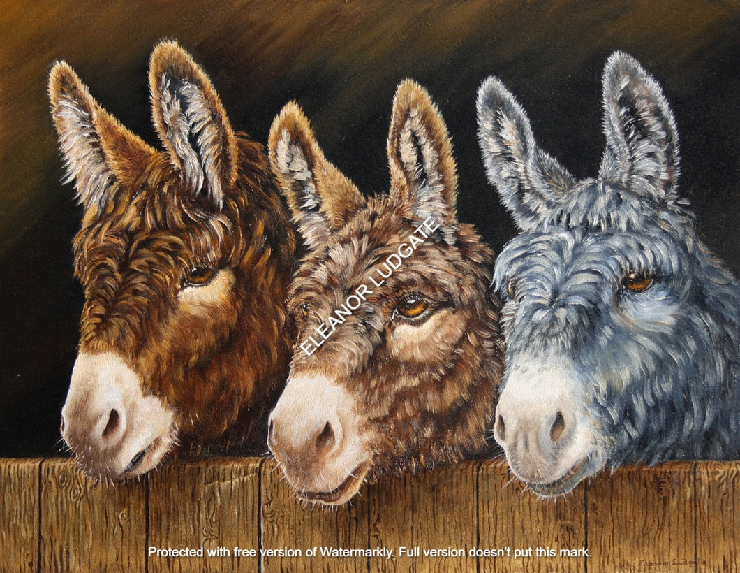 Good Pals LTD Framed print