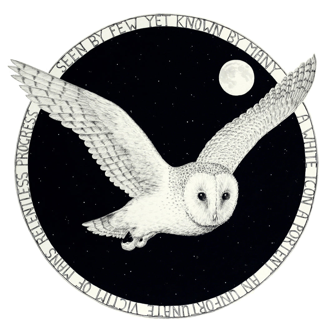 Barn Owl limited framed print