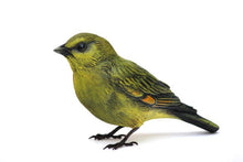 Load image into Gallery viewer, Greenfinch
