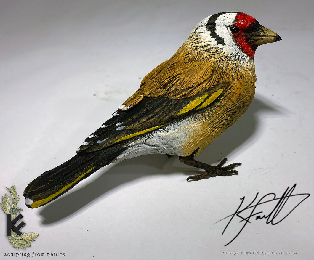 Goldfinch Standing