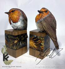Load image into Gallery viewer, Robin on seasonal base
