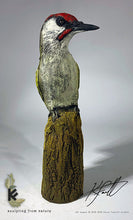 Load image into Gallery viewer, Green Woodpecker
