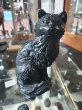 Load image into Gallery viewer, Orlando! Limited edition number 61 Black fury Cat
