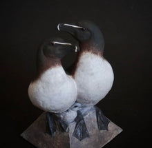 Load image into Gallery viewer, Razorbills by Michelle Hall
