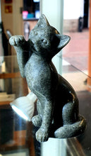 Load image into Gallery viewer, Look at me grey sitting kitten
