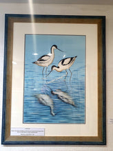 Load image into Gallery viewer, Avocets original water colour
