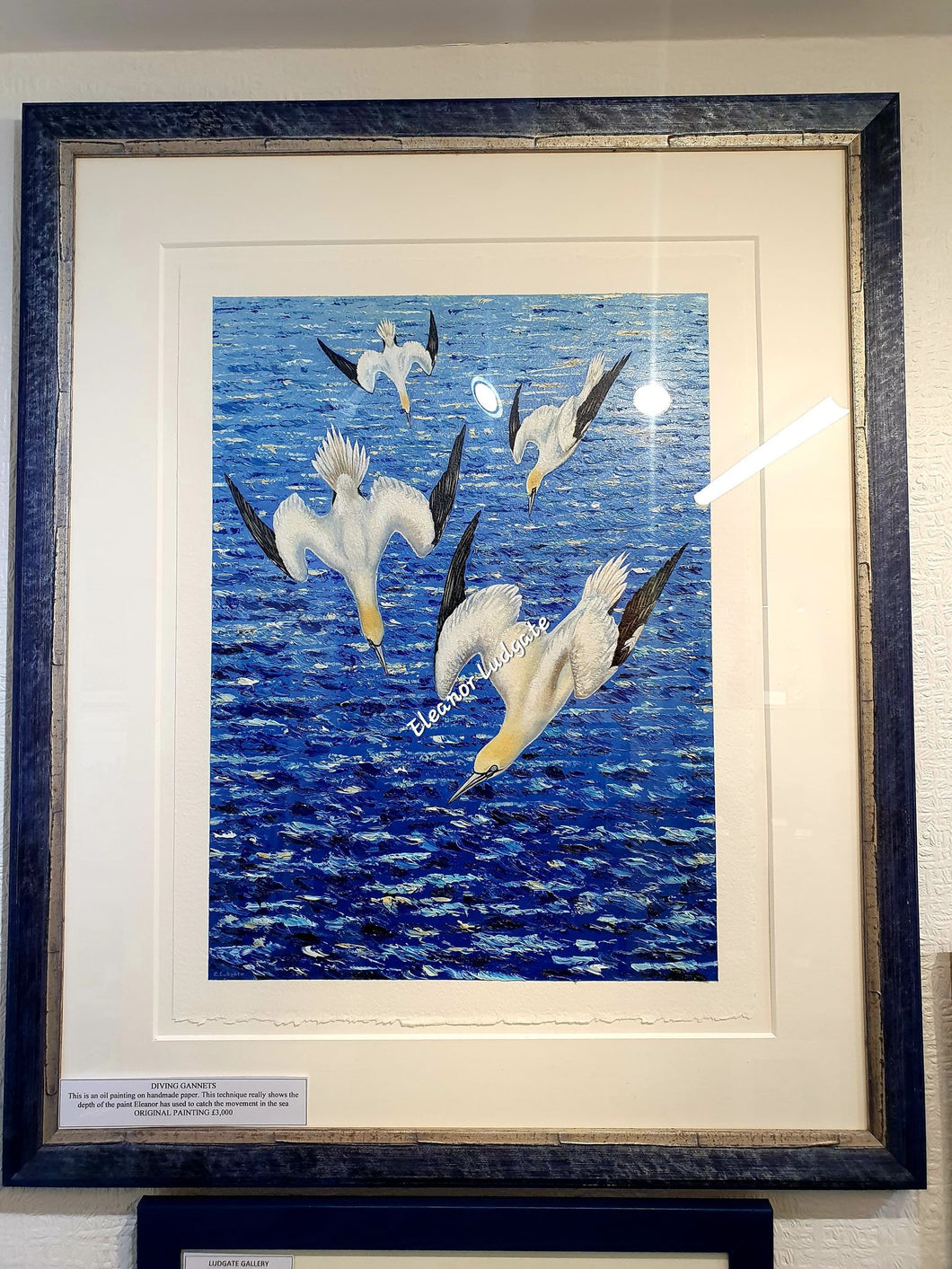 Diving Gannets Original painting (collection only)