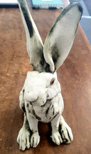 Load image into Gallery viewer, Peter the Hare by Sally Gardiner

