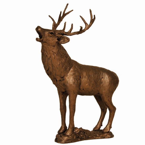 Stag Roaring (Rutting)