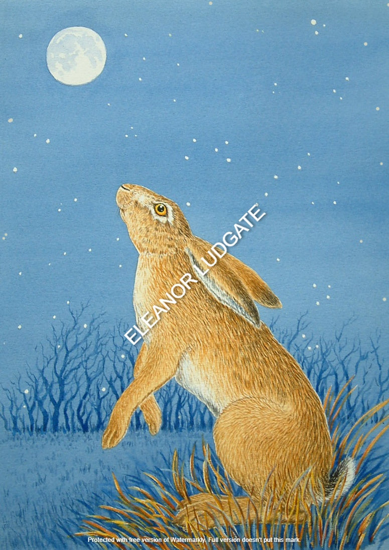 Hare and the Moon Original Framed Painting