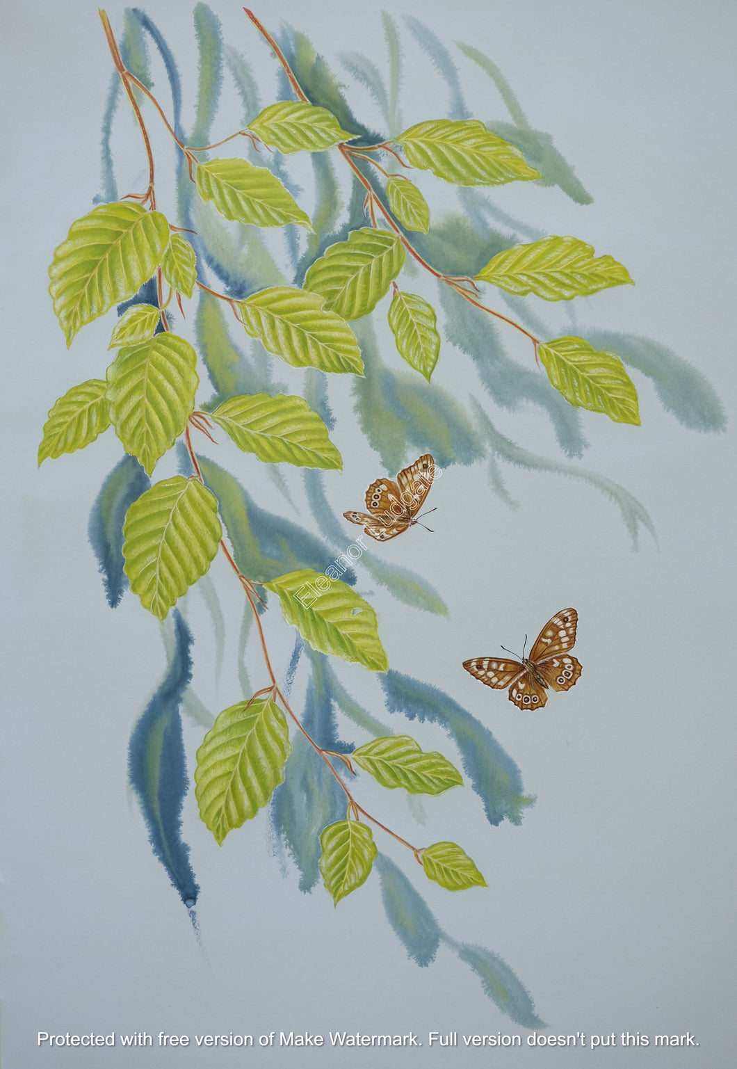 Speckled Wood Butterflies Original Paining